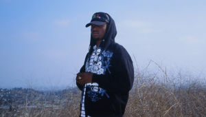 Image of 454